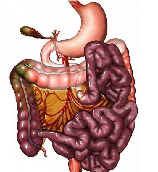 腸息肉者，排便出現(xiàn)3個(gè)異常，十有八九息肉已變成“癌”